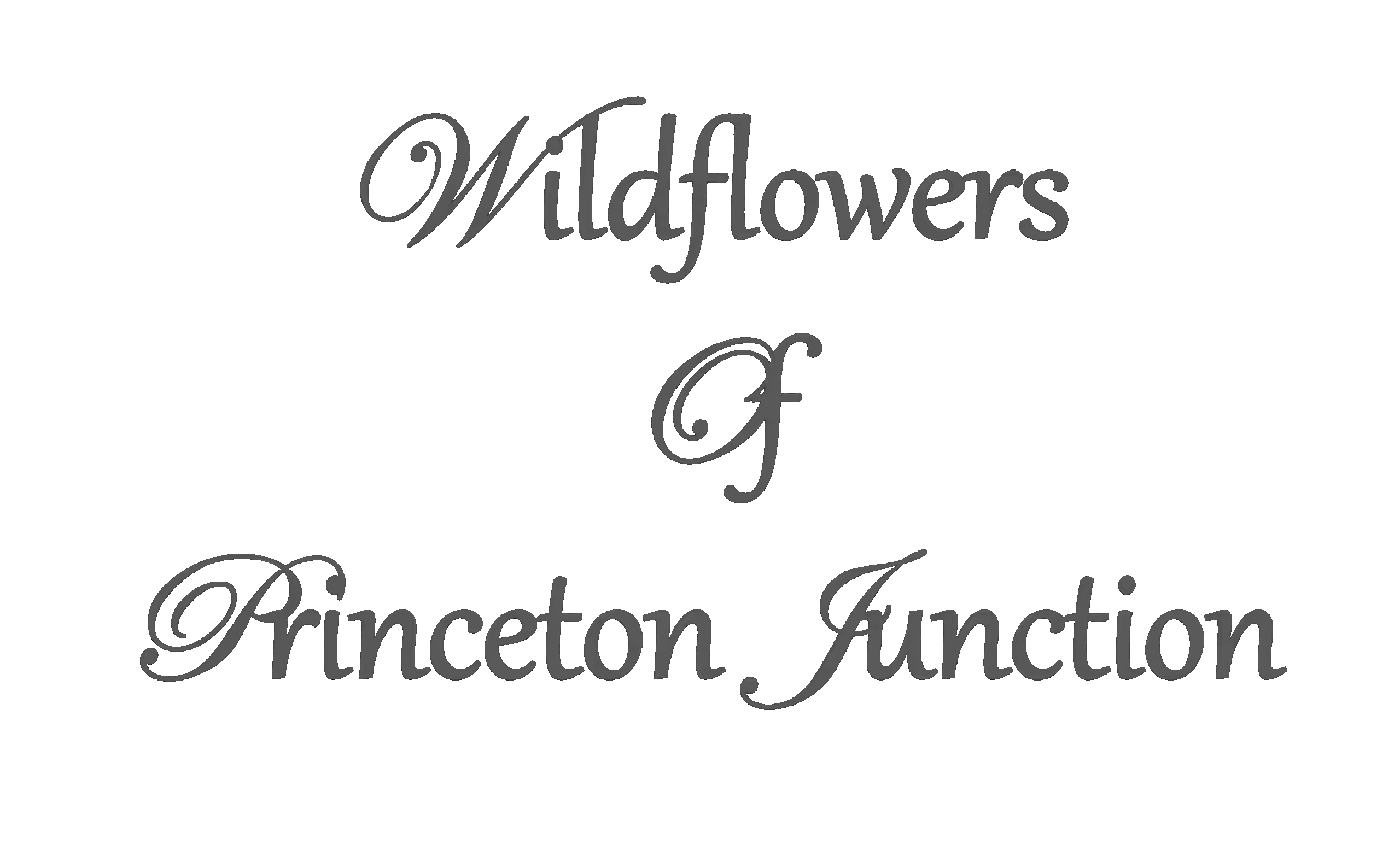 Wildflowers logo