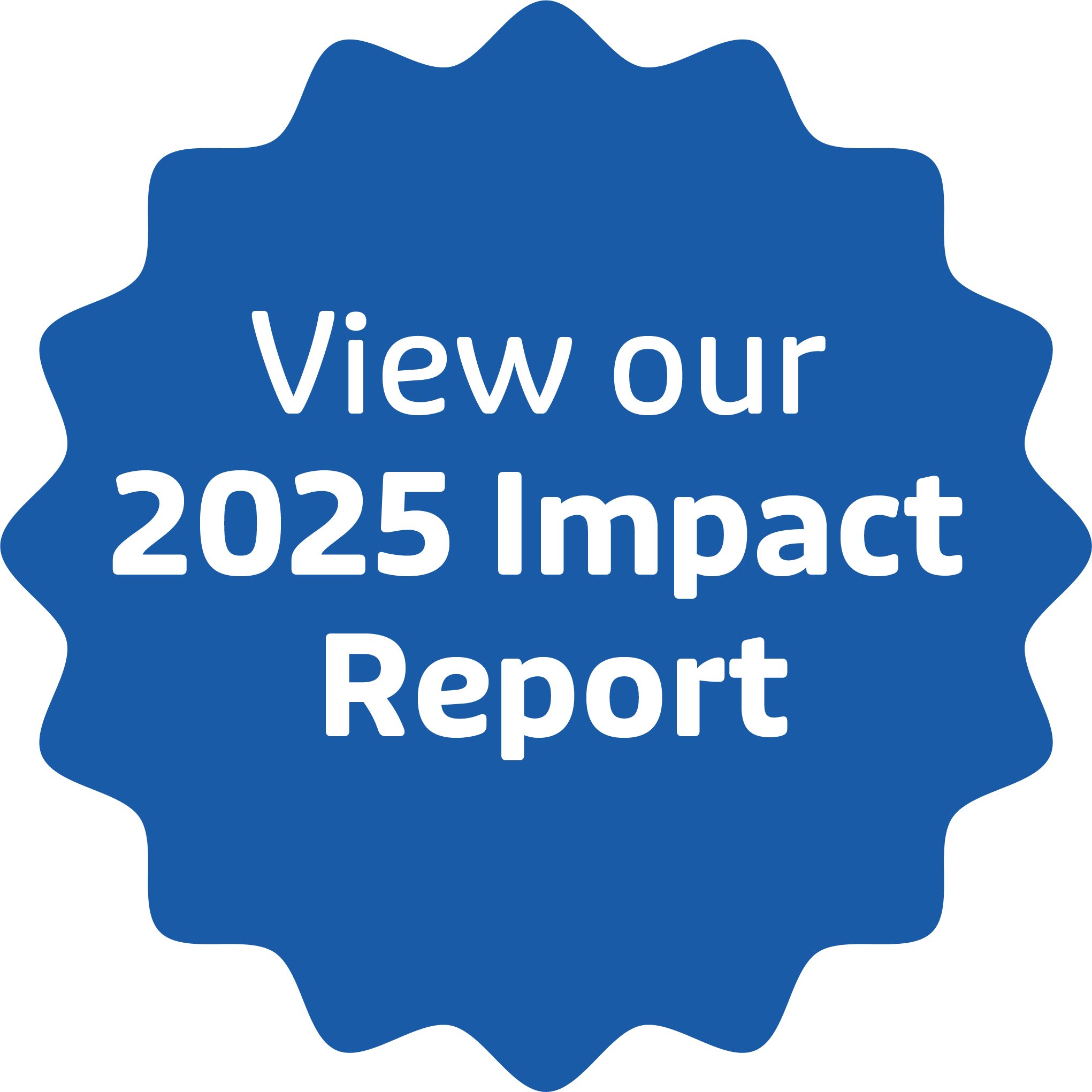 View 2025 Impact Report